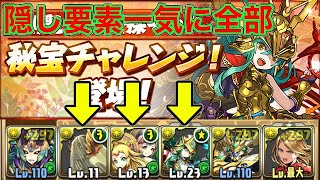 【秘宝チャレンジ1】隠し要素3つ全部まとめてクリア【パズドラ】