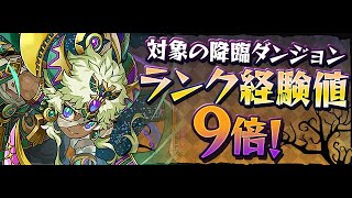 【パズドラ】ドットヴァルキリー降臨　壊滅級　経験値9倍　確認