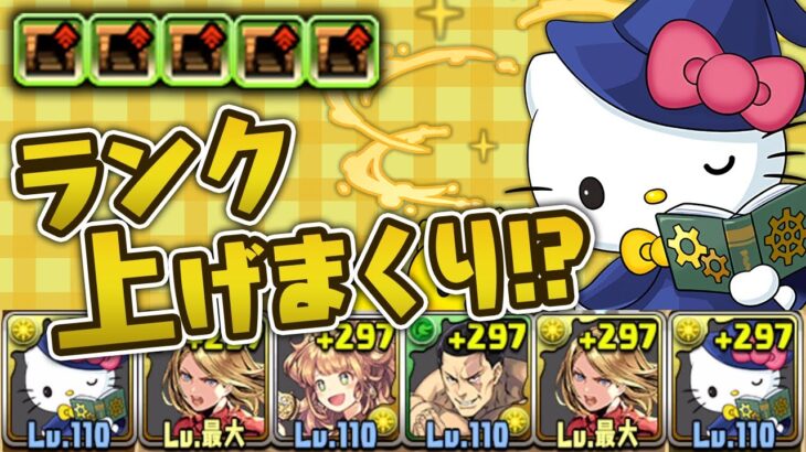 新時代のランク上げ！？サレーネキティで裏魔門を周回せよ！【パズドラ】