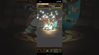 パズドラメモリアルガチャ引いてみた　パズドラ