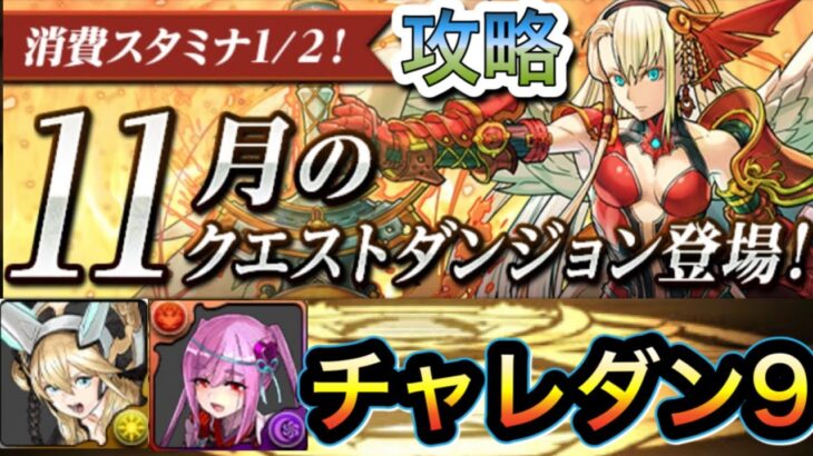 【パズドラ】11月のチャレダン9 多色パーティで攻略