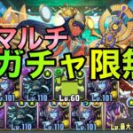 【パズドラ】ムート降臨　ガチャ限無し2人マルチ編成