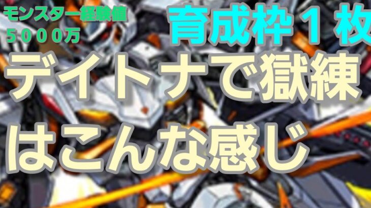 【パズドラ】スタミナ余ったらデイトナで獄練周回&育成 5000万モンスター経験値はうますぎる