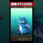 【挑戦】動画ガチャチャレンジ #6日目【パズドラガチャ動画】 #shorts