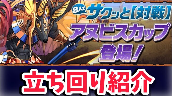 【8人対戦】プロが教えるアヌビスカップ立ち回り【パズドラ】