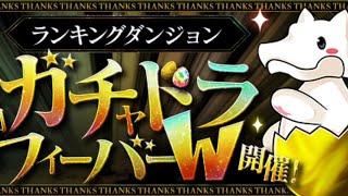 【生放送】ガチャドラフィーバーをフィーバーする【パズドラ】