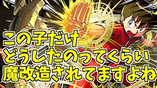 【裏魔廊】チンミ～加算固定の両持ちは基本的に良い子～【パズドラ実況】