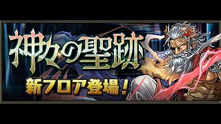 【パズドラ生放送】「神々の聖跡」の新フロア初見チャレンジ配信【初コメ歓迎】