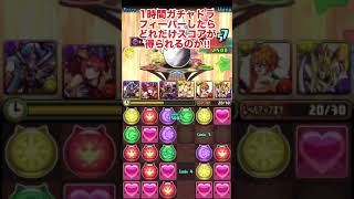 ガチャドラフィーバーめんどくさいって思ってる方必見‼︎ 【パズドラ】