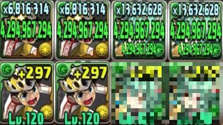 NEW坂道システムがヤバい【パズドラ 百花繚乱３】