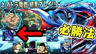 【初見】リーダー固定？手を叩けばいいだろWWWWWW ネプチューンドラゴン降臨【ダックス】【パズドラ実況】