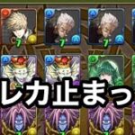 【パズドラ】ワンパンマンコラボガチャを課金しすぎてクレジット不正利用を疑われた配信者の末路