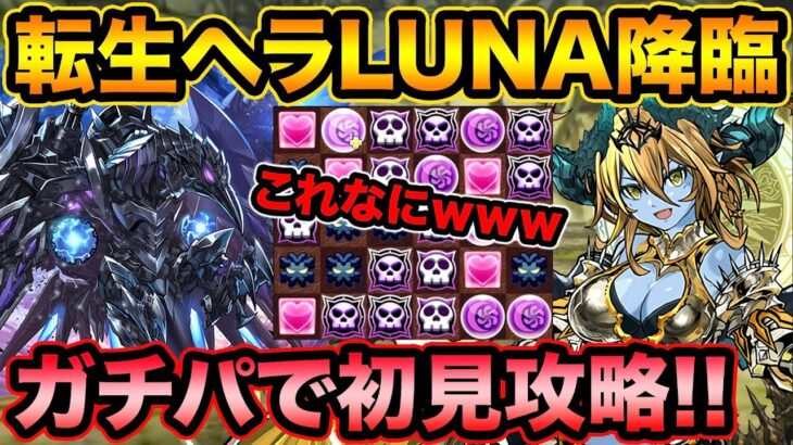 【神々の聖跡】転生ヘラLUNA降臨にブラックバードで初見チャレンジ！謎ギミックにスー☆大混乱！！！！！【スー☆パズドラ】