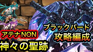 【パズドラ】アテナNON降臨　ブラックバード攻略編成（神々の聖跡）