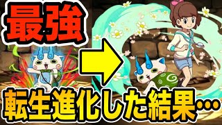 かつて時代を築いた最強キャラのコマさんが転生進化するらしい【パズドラ】