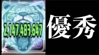 【アポピス降臨】木属性のトンデモナイ化け物見つけちゃいました【パズドラ実況】