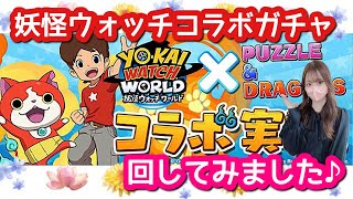 【パズドラ ガチャ】妖怪ウォッチコラボガチャを引いてみた結果です♪