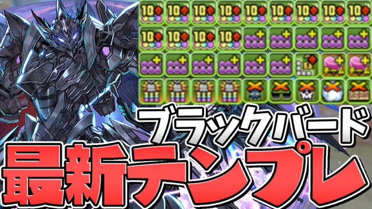 ブラックバード最新テンプレ編成！火力も耐久も完璧！四次元の探訪者【パズドラ】