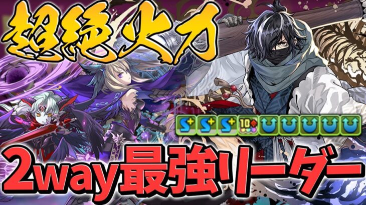 幻画師★7キャラは全部最強です！！カイシュウで多次元攻略！2way強すぎる！！【パズドラ】