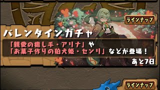 パズドラ バレンタインガチャ ★9出るまで引き続けます 結果は如何に⁉️