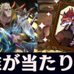 幻画師ガチャの周回勢向けキャラ解説！【パズドラ実況】