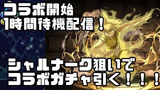 【パズドラ】ハンターハンターコラボガチャ1時間前待機配信！狙いはシャルナーク！＃パズドラ