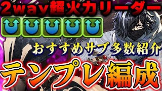 強いのはアトリだけじゃない！2way最強リーダーカイシュウのテンプレ編成＆おすすめサブ紹介！！【パズドラ実況】