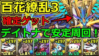 【百花繚乱3】デイトナで安定周回！チィリンドラゴン集め！