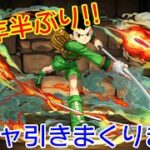 【パズドラ】約6年半ぶりに復刻!! HUNTER×HUNTERコラボガチャを引きまくってみた!!