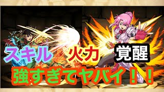 【パズドラ】転生したポップとマァムが強すぎて草www