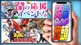 【PAD】 週刊少年Sunday 復刻 /春之應援 / 瞬間cap實頭【パズドラ】【廣東話】