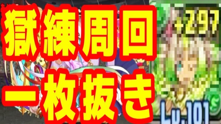 サブ完全無課金獄練編成がヤバい【パズドラ】