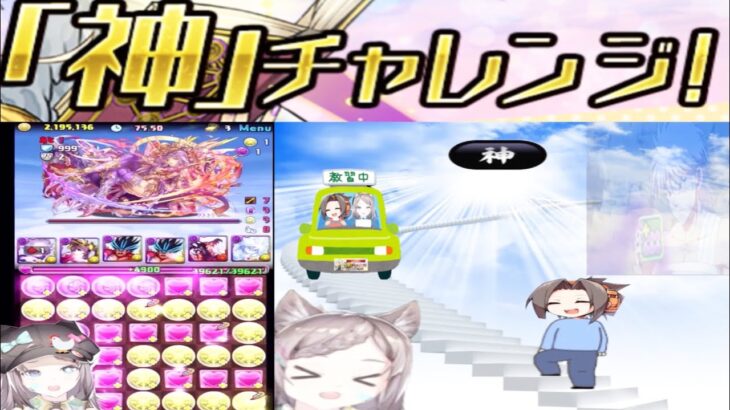 涙、笑い、台パン、感動のラスト【パズドラ 神チャレンジ】