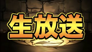 お久しぶりです！！！！！【スー☆パズドラ】