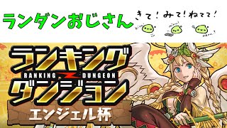 おじさんのランダン【パズドラ】