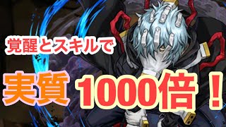 【パズドラ】毒無効と聞いたので超絶強いメルエムさんとの相性を検証してみた。【死柄木弔】