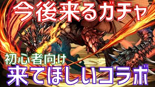 【パズドラ】初心者に知っていてほしい今後来るガチャ解説＆来てほしい復刻コラボ雑談！2022年5月ver