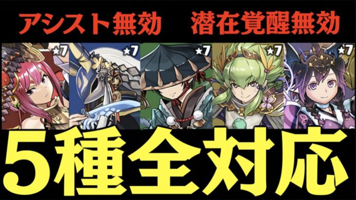 【ソロ】転生龍刀士降臨のメルエムループ安定周回PT解説【パズドラ実況】