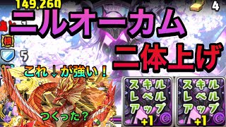 【パズドラ】オリガミスキルが強い！隠し要素ニルオーカム二体上げ【邪霊ラッシュ】【星を紡ぐ精霊】PerigamesVol.438