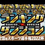 【パズドラ】全国eスポーツ選手権2022杯の立ち回り【203,408】