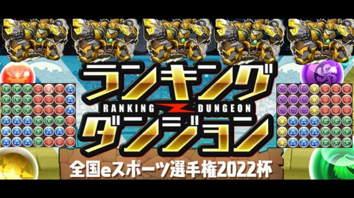 【パズドラ】全国eスポーツ選手権2022杯の立ち回り【203,408】