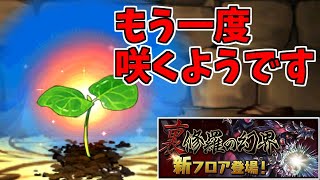 【裏機構城】ロザリン～強化されてお友達も増えた花頑張る～【パズドラ実況】