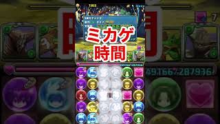 ゴールドたまドラ周回むずくない？【パズドラ】