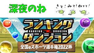 深夜のランダン【パズドラ】