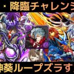 【パズドラ】極・降臨チャレンジ！四季神葵ループズラすだけで攻略可能！