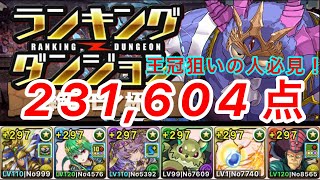 ランキングダンジョン絶アモン杯 231,604点  王冠狙いの人必見【パズドラ】【ランダン】