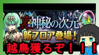 【パズドラ】クラピカダイで越鳥チャレンジに挑むぜ！！！#3【裏多次元の越鳥】