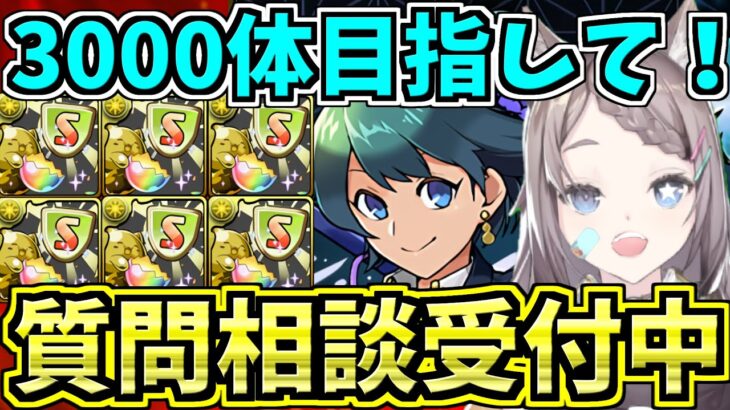 【遅延3000体目指して】秘才の氷城周回しながらみんなの質問相談に答えていくよ！【パズドラ】