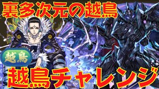 〜パズドラ〜 越鳥チャレンジ攻略‼︎クロロ×ブラバの安定感がすごい‼︎ [裏多次元の越鳥]