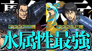 水属性最強の組み合わせ！王騎×信ループで裏多次元攻略！単色にしかできない最強火力！【パズドラ】